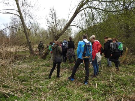 7. april, mednarodni dan bobra in Dan za spremembe 17